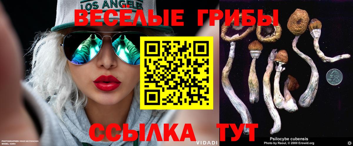 Псилоцибиновые грибы Psilocybine cubensis  Псилоцибиновые грибы GOLDEN TEACHER  Горячий Ключ  где купить наркоту  Вход с VPN 